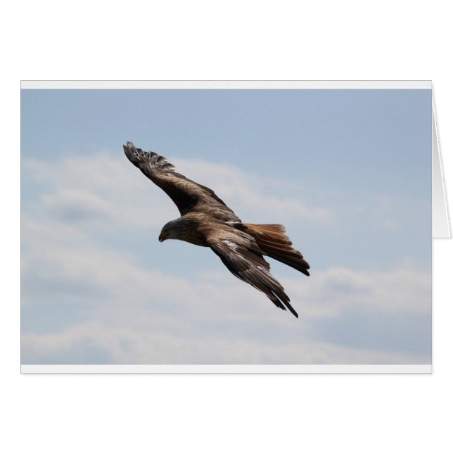 イーグル (正面横)