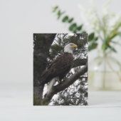 イーグル10 ポストカード (スタンド正面)