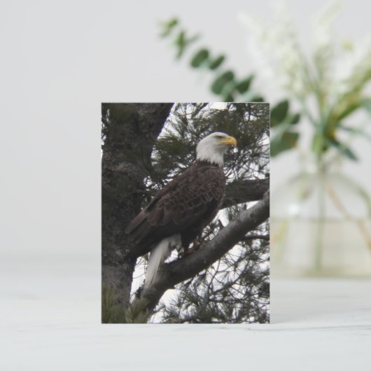 イーグル10 ポストカード (スタンド正面)