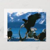 イーグル19 ポストカード (正面/裏面)