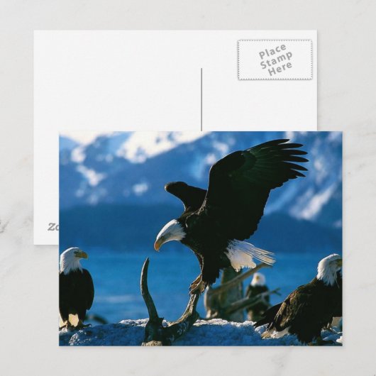 イーグル19 ポストカード (正面/裏面)