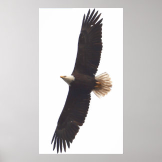 イーグル2025年4月20日 ポスター