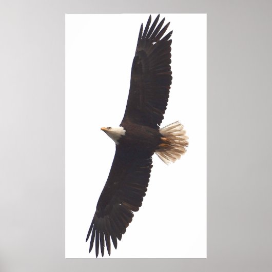 イーグル2025年4月20日 ポスター (正面)