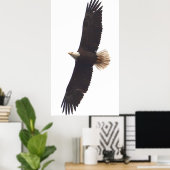 イーグル2025年4月20日 ポスター (ホームオフィス)