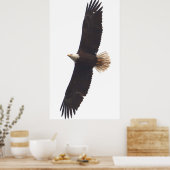 イーグル2025年4月20日 ポスター (キッチン)