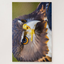 イーグル2 ジグソーパズル