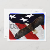 イーグル・アンド・アメリカ国旗USA ポストカード (正面/裏面)