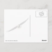 イーグル・アンド・アメリカ国旗USA ポストカード (裏面)