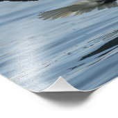 イーグル・オン・アプローチ フォトプリント (角)