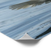 イーグル・オン・アプローチ ポスター (角)