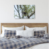 イーグル キャンバスプリント (インサイチュ (寝室))