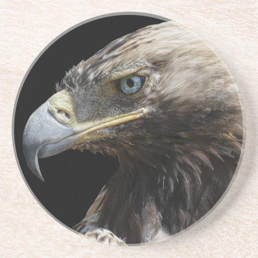 イーグル コースター (正面)