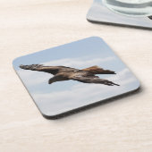 イーグル コースター (左側)