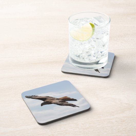 イーグル コースター (右側)