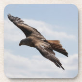 イーグル コースター (正面)