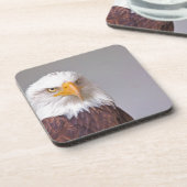 イーグル コースター (左側)