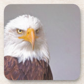 イーグル コースター (正面)