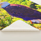 イーグル シェルパブランケット (3/4)