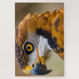 イーグル ジグソーパズル