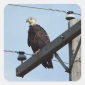 イーグル スクエアシール (正面)