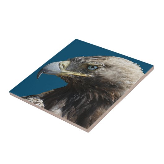 イーグル タイル (側面)