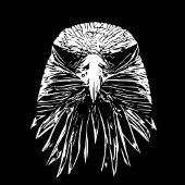 イーグル バスタオルセット