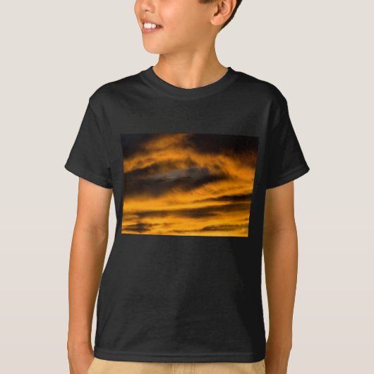 イーグル・バーンアウト Tシャツ (正面)