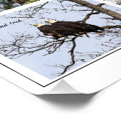 イーグル・ファミリー・ライフ ポスター (コーナー)