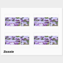 イーグル・フライト [ジャーマンアイリス] 長方形シール