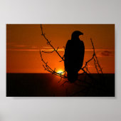 イーグル ポスター (正面)