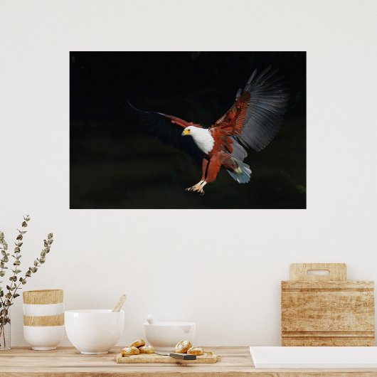 イーグル ポスター (キッチン)