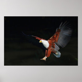 イーグル ポスター