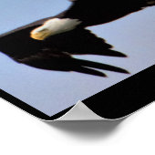 イーグル ポスター (角)