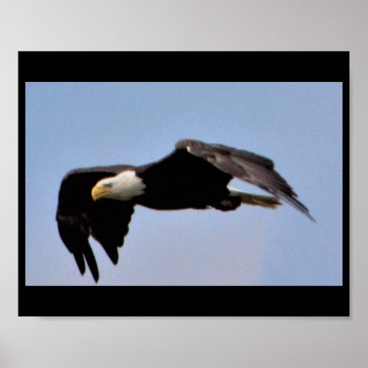イーグル ポスター (正面)