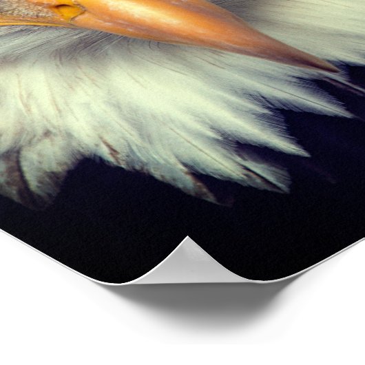 イーグル ポスター (角)