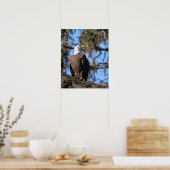 イーグル ポスター (キッチン)