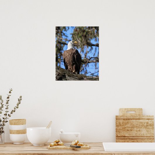 イーグル ポスター (キッチン)