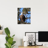 イーグル ポスター (ホームオフィス)