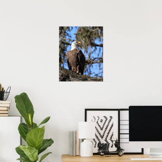 イーグル ポスター (ホームオフィス)