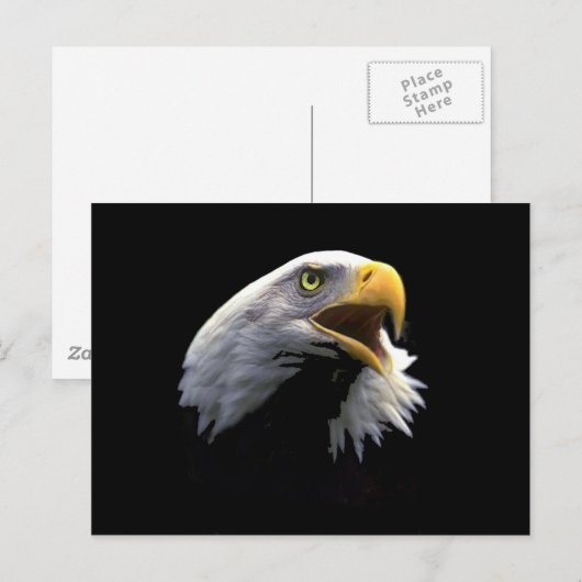イーグル ポストカード (正面/裏面)
