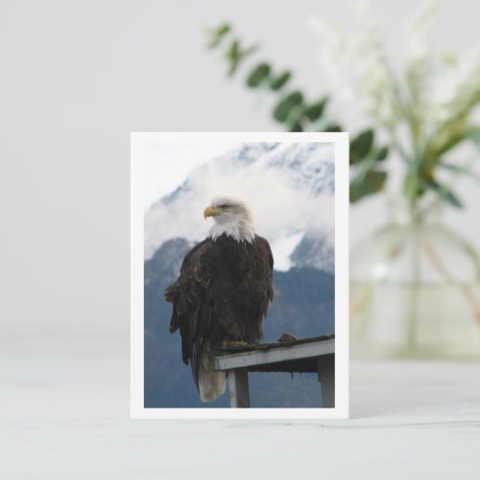 イーグル ポストカード (スタンド正面)