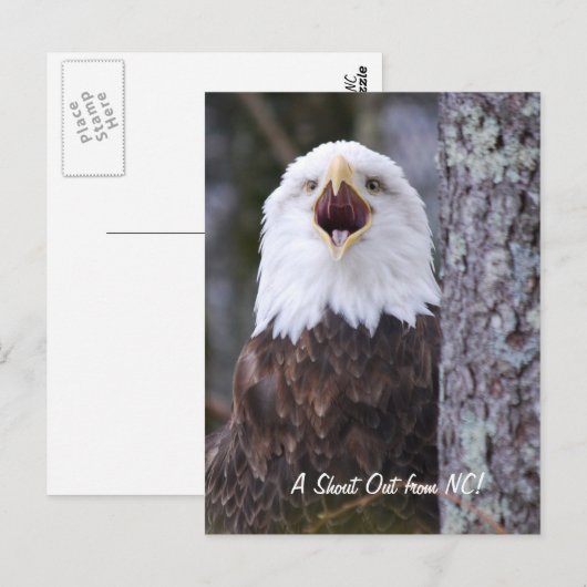 イーグル ポストカード (正面/裏面)