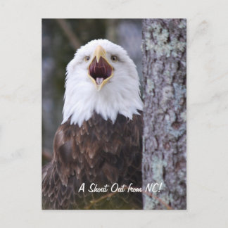 イーグル ポストカード
