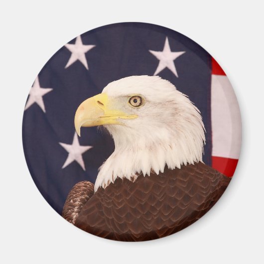 イーグル マグネット (正面)