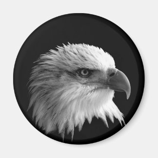 イーグル マグネット