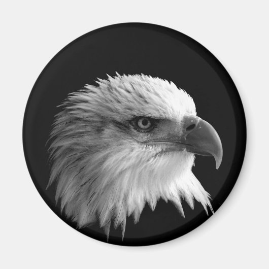 イーグル マグネット (正面)