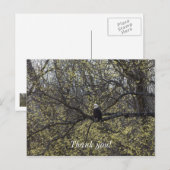 イーグル・ルックアウト・ペイント風景 ポストカード (正面/裏面)