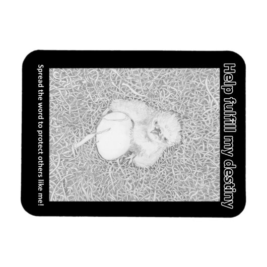 イーグルE14は彼の運命の住宅寄付を果たす マグネット (横)