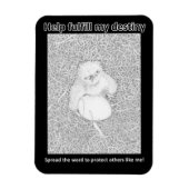 イーグルE14は彼の運命の住宅寄付を果たす マグネット (縦)