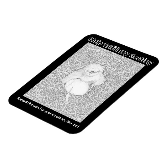 イーグルE14は彼の運命の住宅寄付を果たす マグネット (左側)